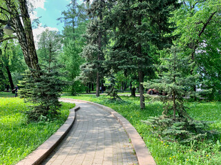 Vorovsky Park in summer. Voykovsky district. The city of Moscow