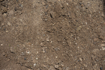 garden soil prepared for planting. Copy Space.