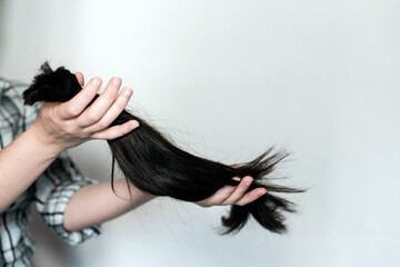 Sosteniendo el cabello castaño cortado en una cola de caballo. Concepto de donación de cabello para pacientes con cáncer - obrazy, fototapety, plakaty