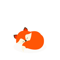This is a cute fox on a white background.