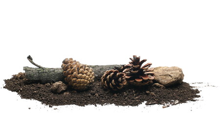 Dirt, soil pile, pine cone, branch and rock isolated on white background and texture