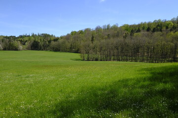 Landschaft am Seidenhäuser See bei Altershausen im Naturpark Hassberge, Landkreis Hassberge, Unterfranken, Franken, Bayern, Deutschland