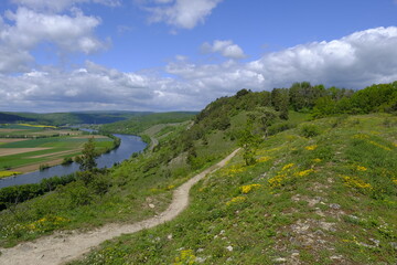 Landschaft im Naturschutzgebiet Grainberg-Kalbenstein bei Karlstadt, Landkreis Main-Spessart, Unterfranken, Bayern, Deutschland