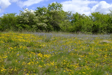 Landschaft im Naturschutzgebiet Grainberg-Kalbenstein bei Karlstadt, Landkreis Main-Spessart,...