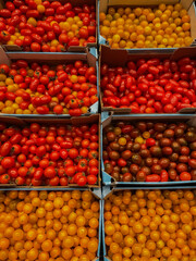 Picture of different types of cherry tomatoes in boxes at street market. Red cherry, yellow cherry, pear and black cherry tomatoes at mediterranean market
