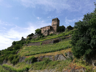 ruins of castle