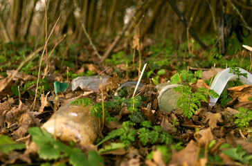 Glass jars in undergrowth