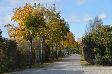 Naklejka premium Weg an der Donau im Herbst Wien Österreich, 18.10.2013