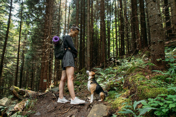 Naklejka na ściany i meble young woman hiking with a dog in the woods