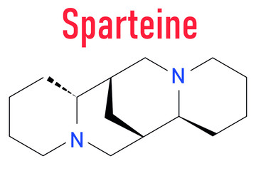 Skeletal formula of Sparteine scotch broom alkaloid molecule. 
