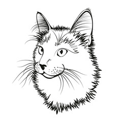 Obraz premium Vector illustration. Black outline of a cat on a white background.