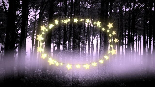 Yellow glowing star shaped fairy lights against multiple trees in the forest
