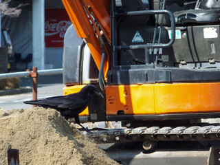 excavator at work