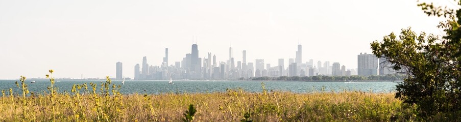 Wide angle high resolution panorama of the Chicago Skyline in late summer with sunflowers and other...