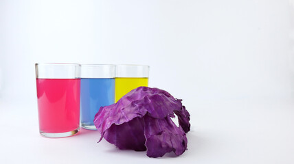 Red cabbage and three glasses filled with colored liquid. Make a measure of the pH (power of...