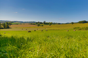 Balade en Quercy Blanc, de l'aube au coucher du soleil