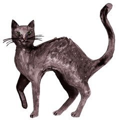 Black cat. Watercolor hand drawn Halloween illustration