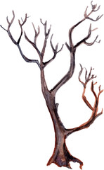 Fototapeta premium Watercolor hand drawn Halloween illustration with a dead tree