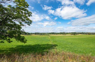 Fototapeta na wymiar Beautiful summer landscape with green fields and blue sky