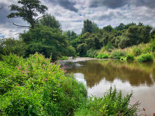 The River Otter in Ottery St Mary