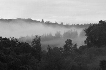 Black and White Image of Loch Drunkie from Dukes Pass, Trossachs National Park, Scotland, UK.