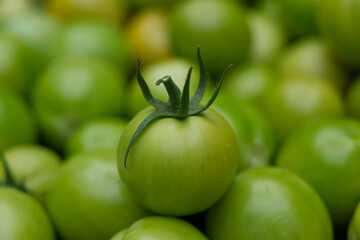 green tomatoe