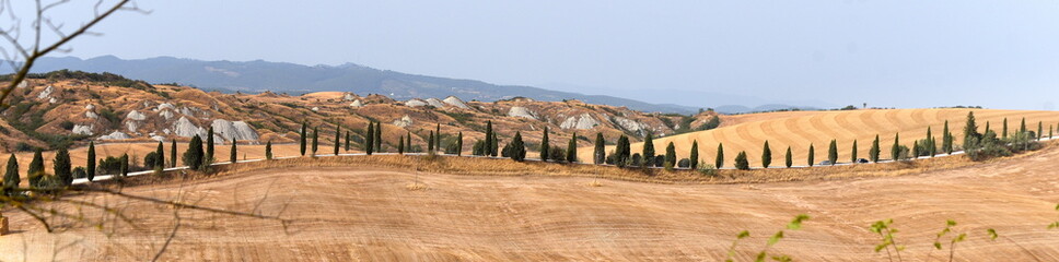 Fototapeta na wymiar Liebliche Landschaft der Crete Senesi mit langer Zypressenallee