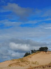 Wydmy w Słowińskim Parku Narodowym