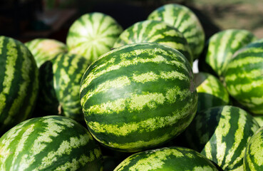Ripe watermelons on the counter of a grocery store. High quality photo
