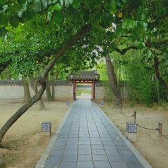 korean style door path in the park