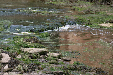 Staithes picturesque coastal village, Yorkshire, England. 