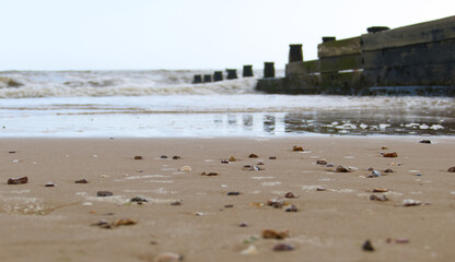 Shells and pebbles in the wet sand on the beach at Frinton-on-Sea (Essex, UK) as the tide comes in along a wooden groyne.