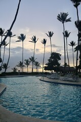 Palm trees at the pool in the morning on sunrise