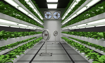 A modern automated farm for growing plants and vegetables with a hydroponic system. 3d illustration