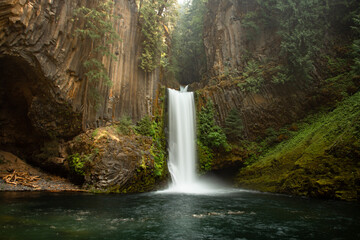 View of a cascading waterfall in Oregon. Toketee Falls is surrounded by green moss, trees, and basalt columns. The waterfall appears to be in a jungle.