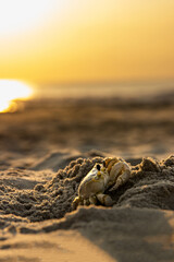 sunset on the beach