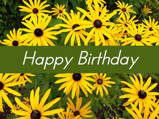 Yellow Rudbeckia with a birthday message Happy Birthday.