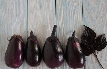 Purple eggplant lie on a gray wooden background.