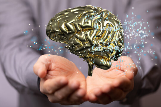 3d rendered medically accurate illustration brain