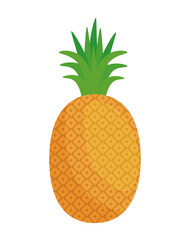 Isolated pineapple fruit