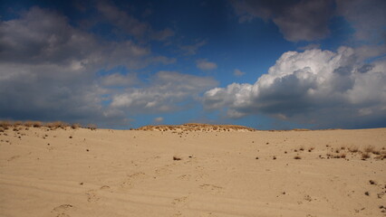 Märkischer Sand auf ehemaligem Truppenübungsplatz Jüterbog bei Luckenwalde