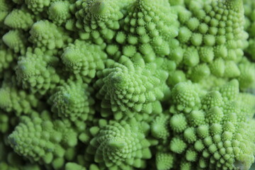 Romanesco green cabbage, use for background.