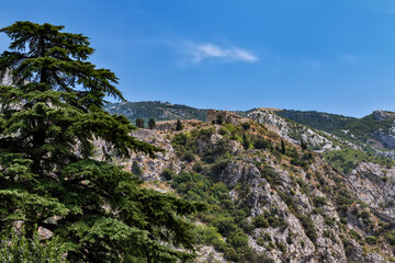 Mountains and Sky. Forest on the mountains