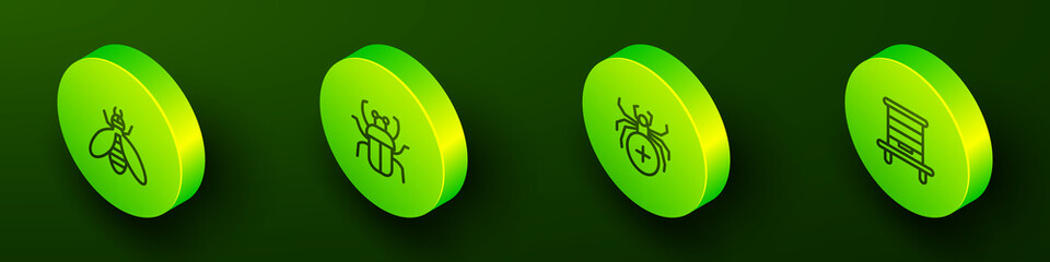 Set Isometric line Bee, Stink bug, Spider and Hive for bees icon. Vector