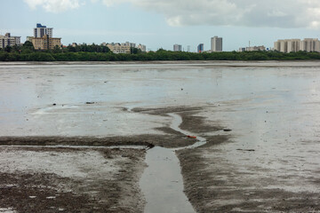 seacoast in Sao luis, Maranhao, Brazil, at low tide. cityscape, bay
