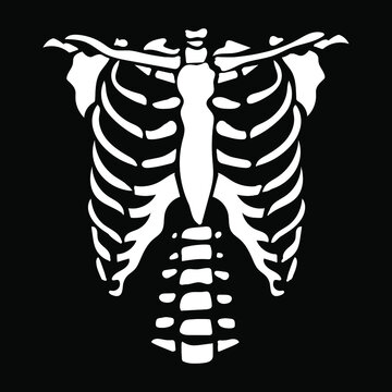 White chest bone. T-shirt print for Horror or Halloween. Hand drawing illustration isolated on black background. Vector EPS 10. 