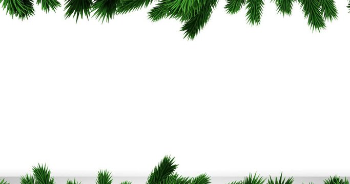 Green christmas tree branches with copy space on white background