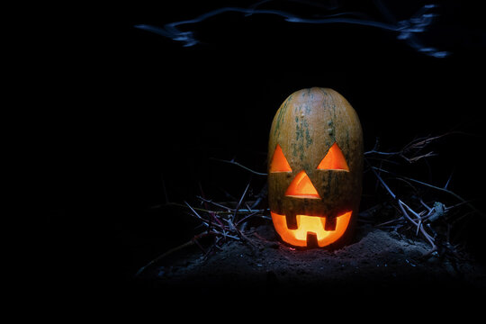 pumpkin on a dark background of the heluin holiday