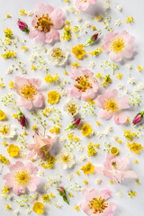 Floral background. Flat lay, top view. Beautiful floral pattern in pastel colors. Vertical photo