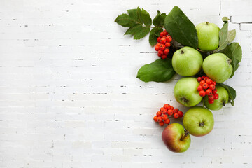 Autumn yellow, orange and red vegetables and fruits on white brick wall background, top view, flat lay. Autumn background.